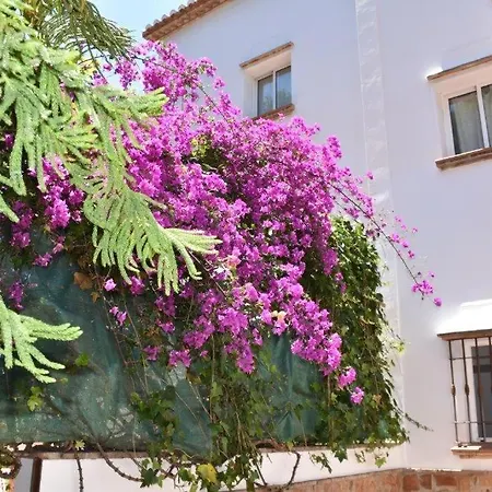 Сasa de vacaciones Pelae Frigiliana